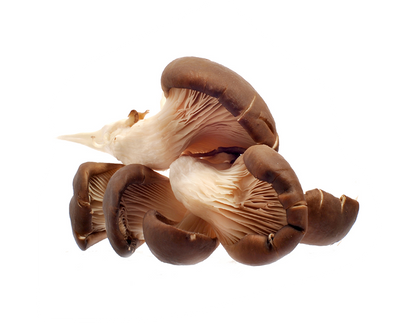 Flower Mushroom